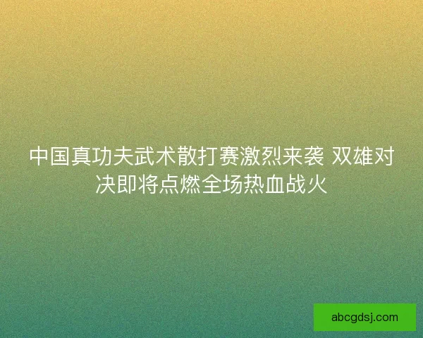 中国真功夫武术散打赛激烈来袭 双雄对决即将点燃全场热血战火