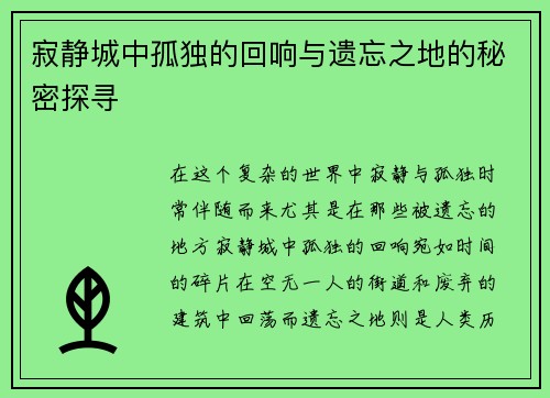 寂静城中孤独的回响与遗忘之地的秘密探寻