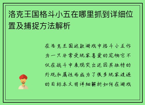洛克王国格斗小五在哪里抓到详细位置及捕捉方法解析
